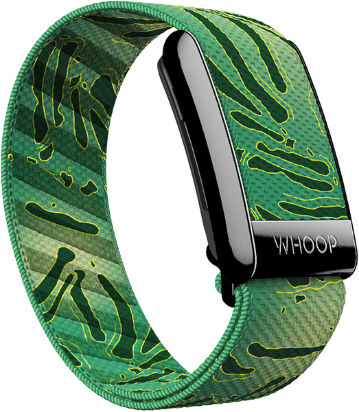 4.0 Caddy Superknit Band