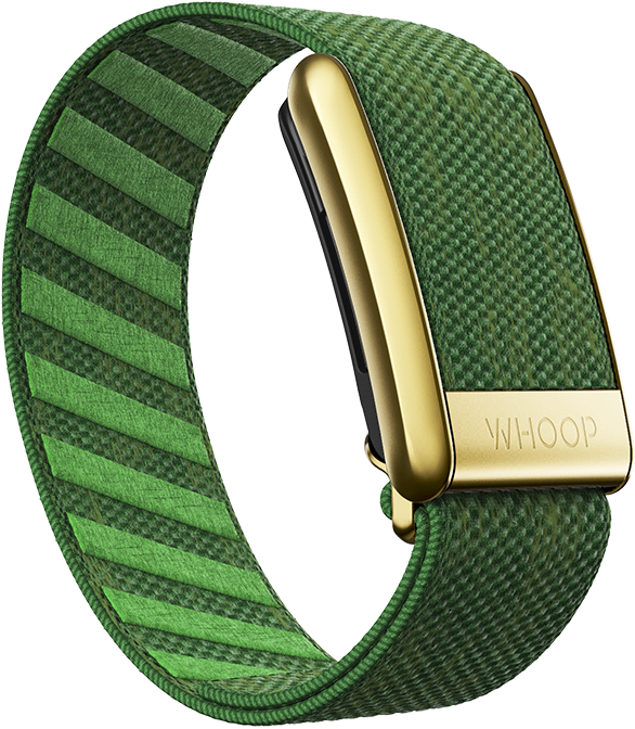 4.0 Clubhouse Superknit Luxe Band