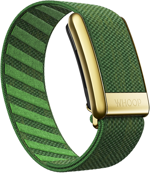 4.0 Clubhouse Superknit Luxe Band