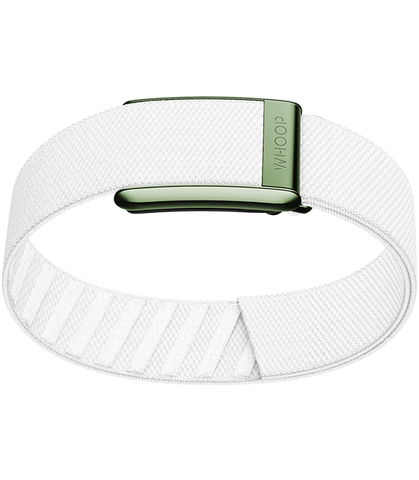 Putting Green Superknit Bicep Band