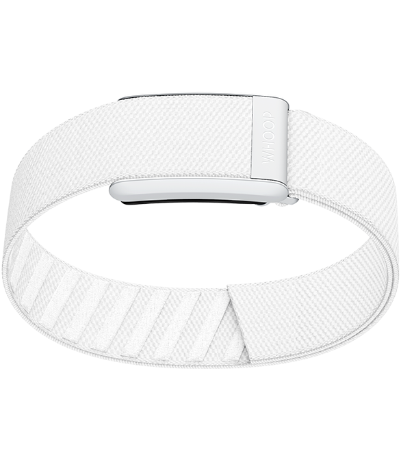 4.0 Arctic SuperKnit Bicep Band