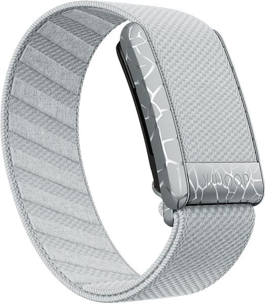4.0 Electric Fog SuperKnit Band