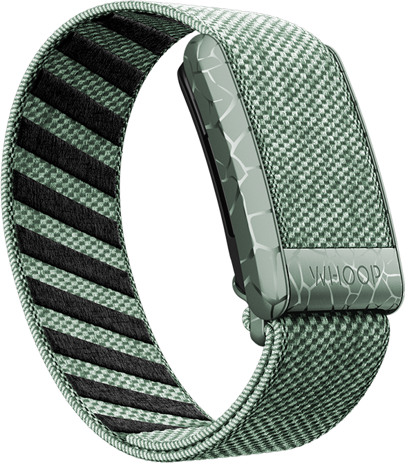 4.0 Electric Sage SuperKnit Band