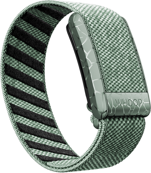 4.0 Electric Sage SuperKnit Band