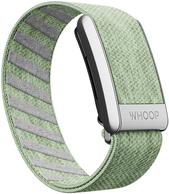 4.0 Eucalyptus SuperKnit Band