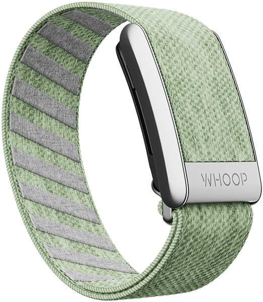 4.0 Eucalyptus SuperKnit Band