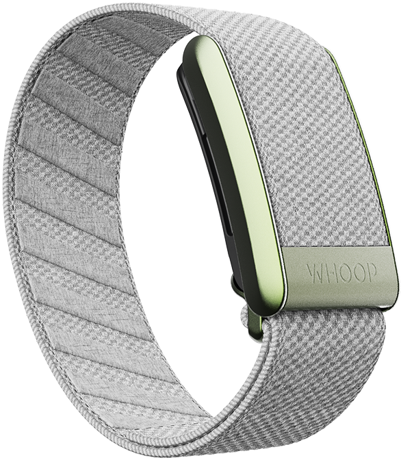 4.0 Koala SuperKnit Band