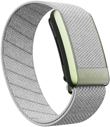 4.0 Koala SuperKnit Band