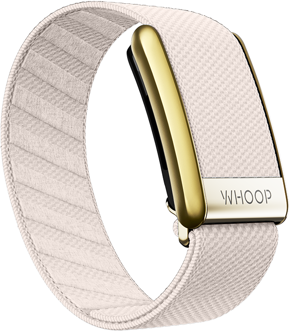 4.0 Champagne with Gold SuperKnit Luxe Band