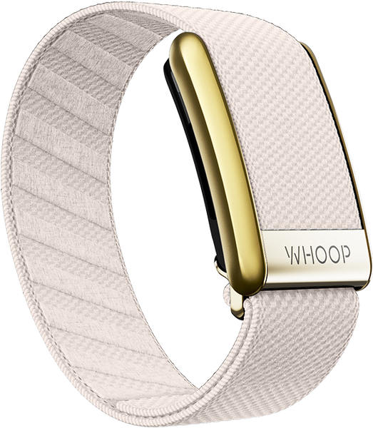 4.0 Champagne with Gold SuperKnit Luxe Band