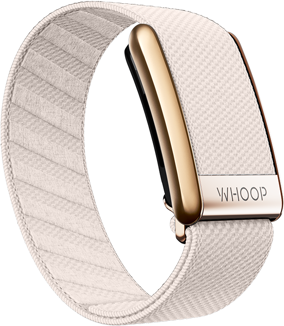 4.0 Champagne with Rose Gold SuperKnit Luxe Band