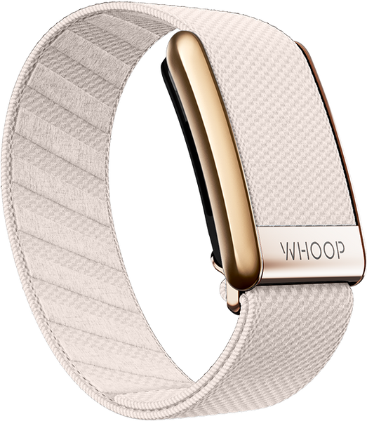 4.0 Champagne with Rose Gold SuperKnit Luxe Band
