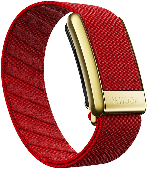 4.0 Cranberry with Gold SuperKnit Luxe Band