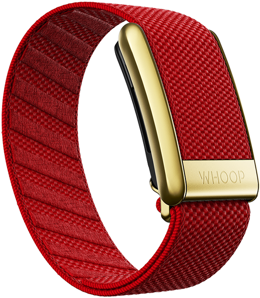 4.0 Cranberry with Gold SuperKnit Luxe Band