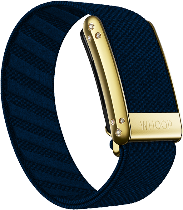 4.0 Niagara with Gold Crystal Luxe Band