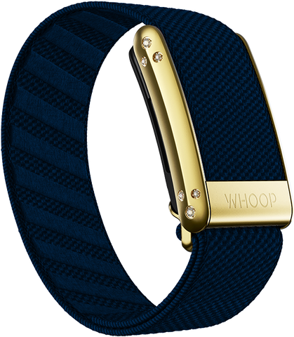 4.0 Niagara with Gold Crystal Luxe Band