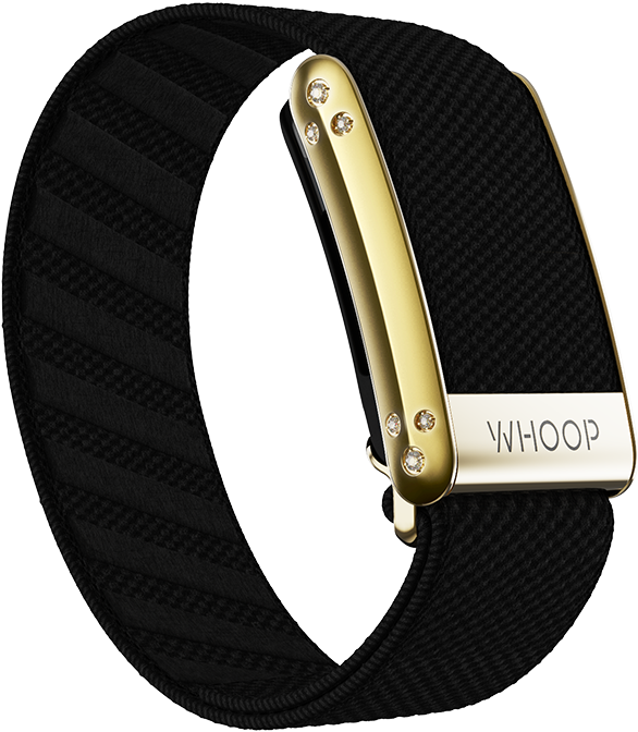 4.0 Onyx with Gold Crystal Luxe Band