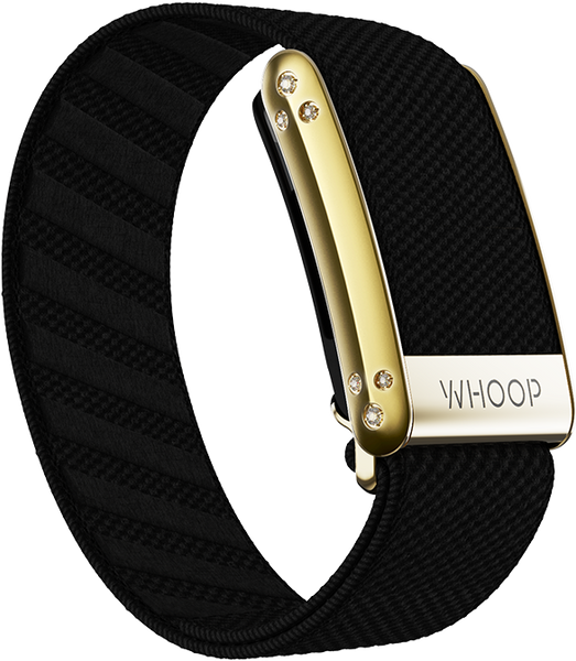 4.0 Onyx with Gold Crystal Luxe Band