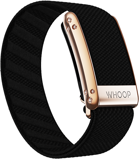 4.0 Onyx with Rose Gold Crystal Luxe Band