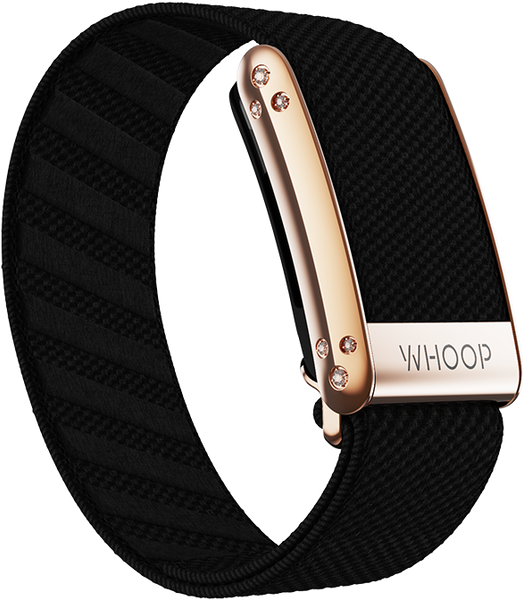 4.0 Onyx with Rose Gold Crystal Luxe Band