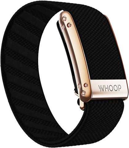4.0 Onyx with Rose Gold Crystal Luxe Band