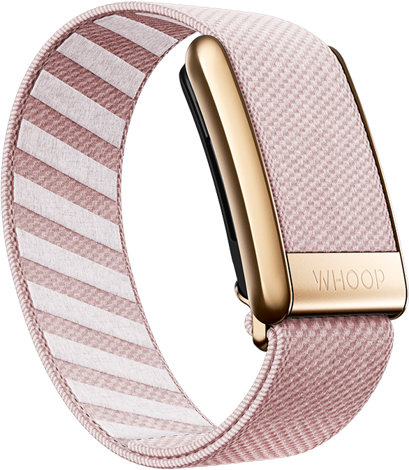 4.0 Nantucket with Rose Gold SuperKnit Luxe Band