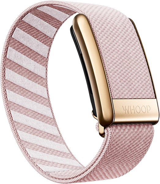 4.0 Nantucket with Rose Gold SuperKnit Luxe Band