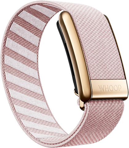 4.0 Nantucket with Rose Gold SuperKnit Luxe Band