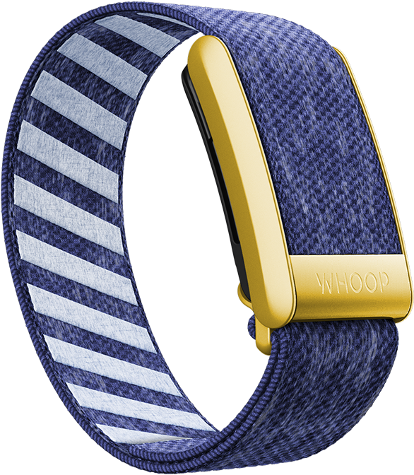 4.0 Nautilus with Gold SuperKnit Luxe Band