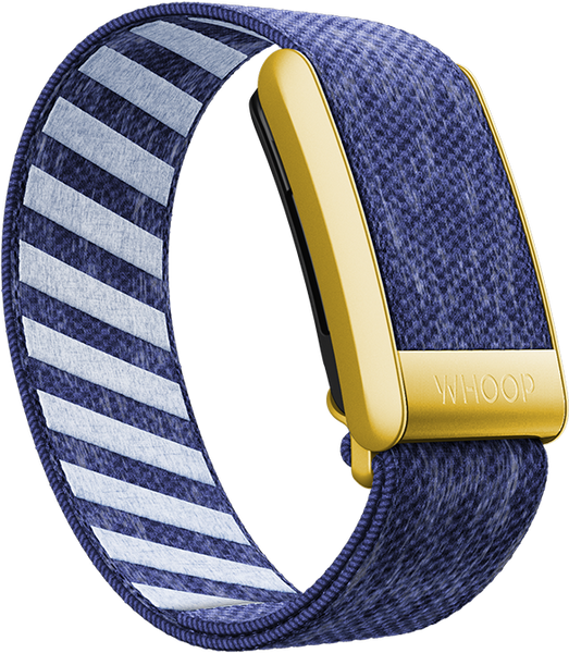 4.0 Nautilus with Gold SuperKnit Luxe Band
