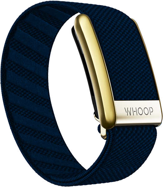 4.0 Niagara with Gold SuperKnit Luxe Band