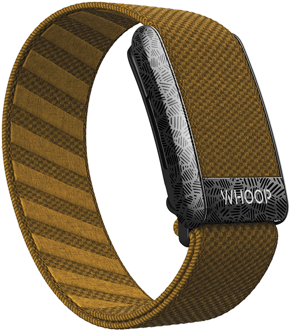 4.0 Oak SuperKnit Band