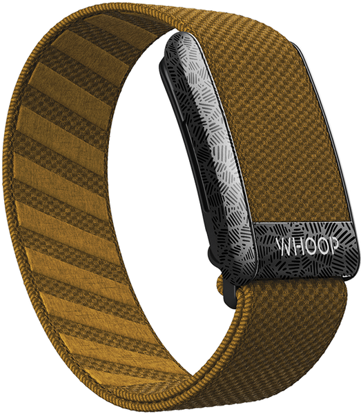 4.0 Oak SuperKnit Band
