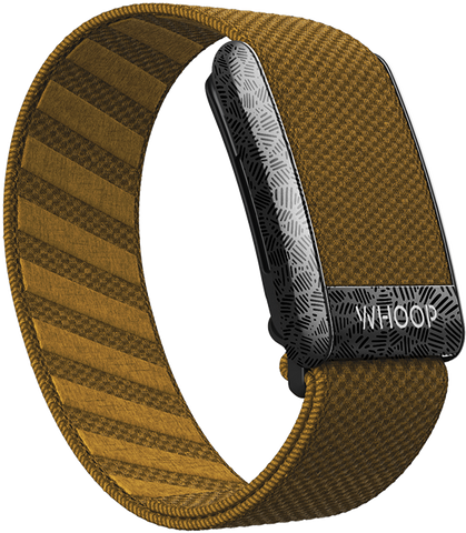 4.0 Oak SuperKnit Band
