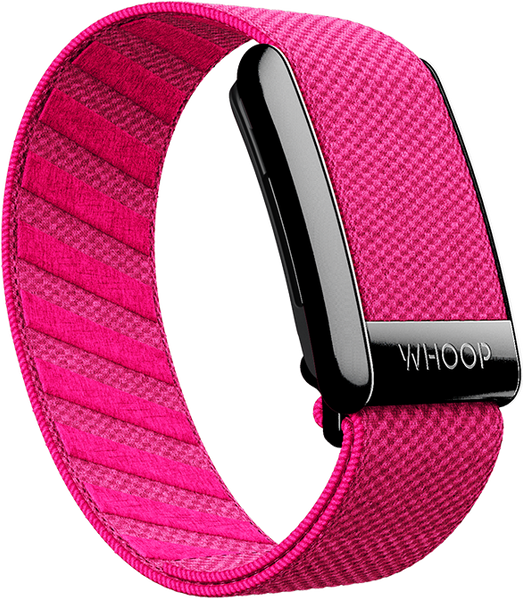 4.0 Podium Pink SuperKnit Band