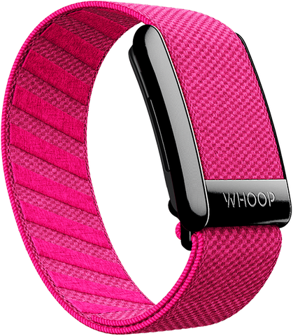 4.0 Podium Pink SuperKnit Band